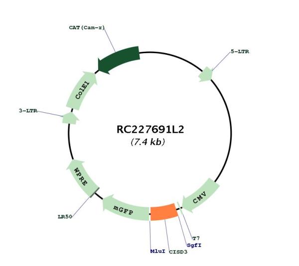 Circular map for RC227691L2