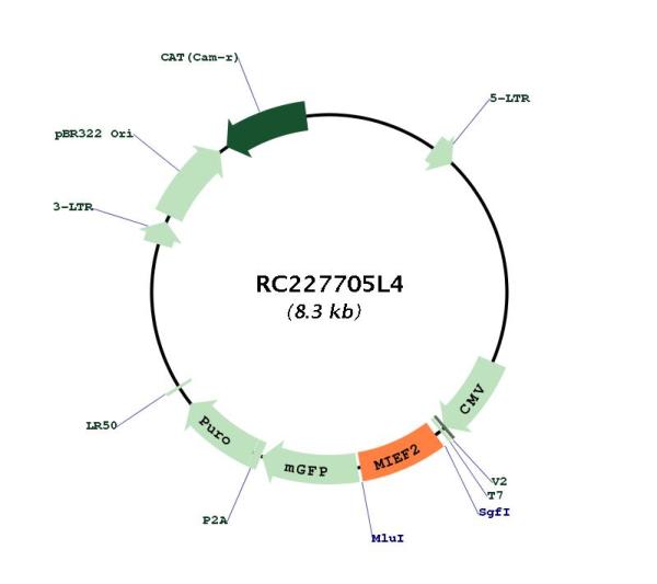 Circular map for RC227705L4