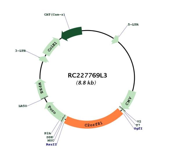 Circular map for RC227769L3