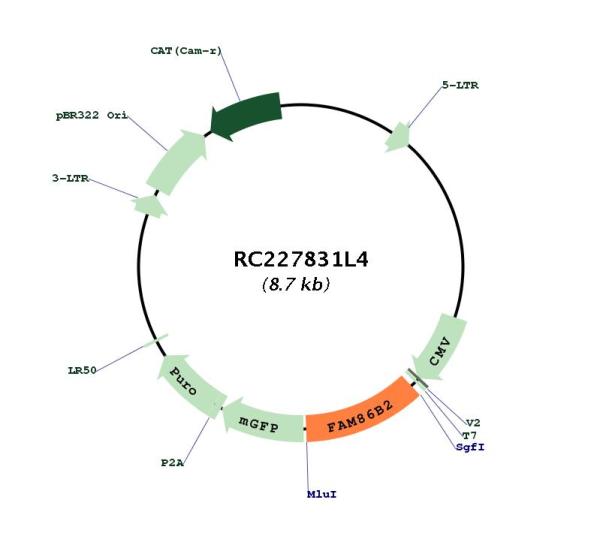 Circular map for RC227831L4