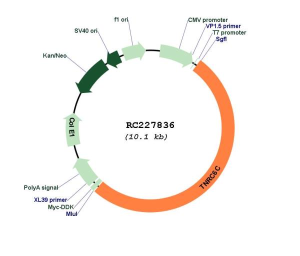 Circular map for RC227836