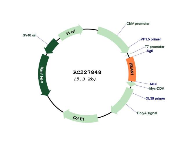 Circular map for RC227848