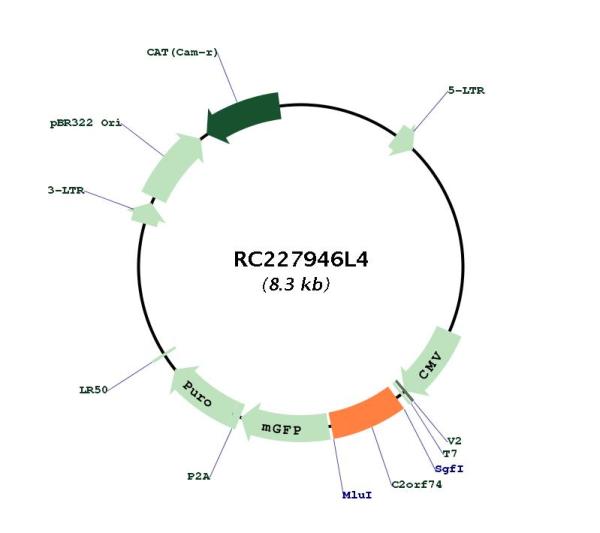 Circular map for RC227946L4