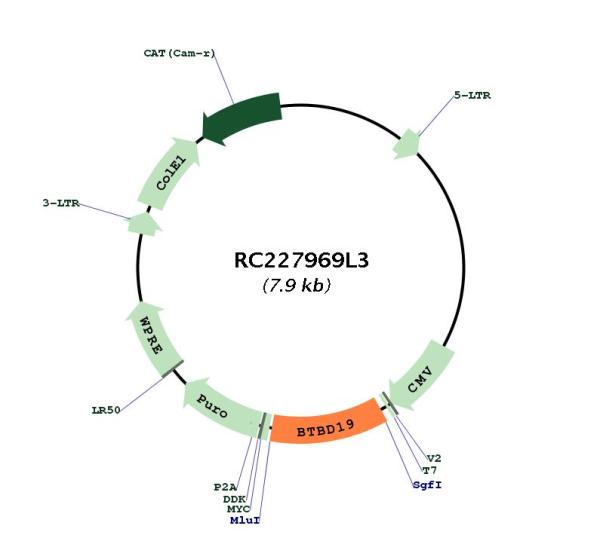 Circular map for RC227969L3