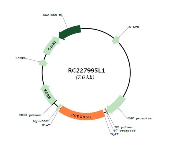 Circular map for RC227995L1