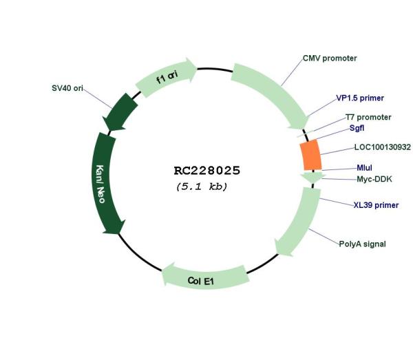 Circular map for RC228025