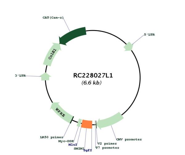 Circular map for RC228027L1
