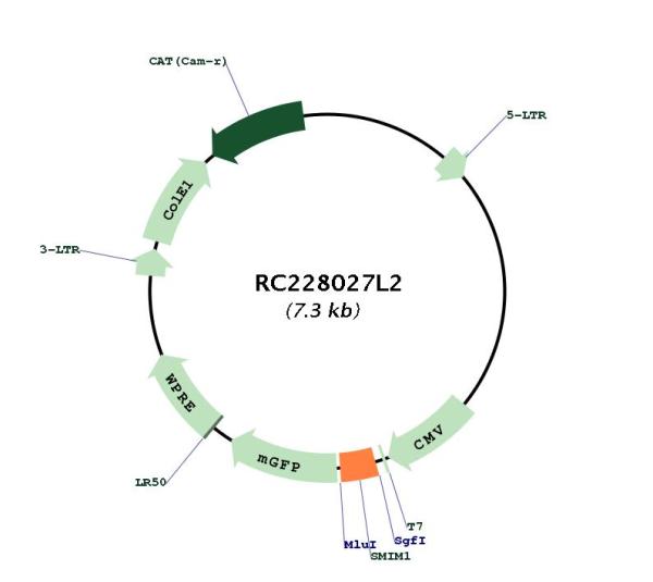 Circular map for RC228027L2