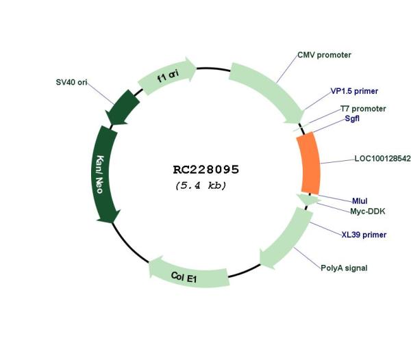 Circular map for RC228095