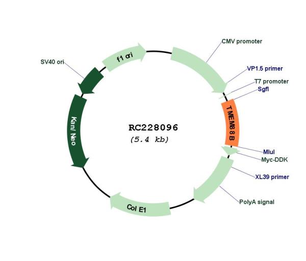 Circular map for RC228096
