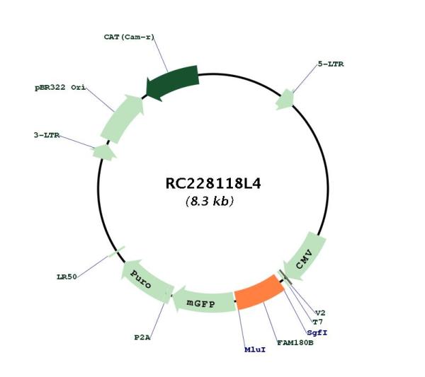 Circular map for RC228118L4