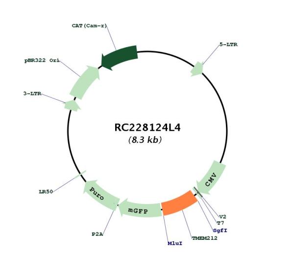 Circular map for RC228124L4