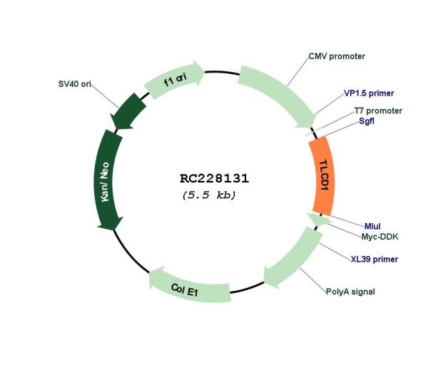 Circular map for RC228131