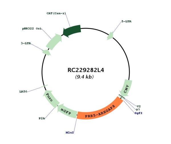 Circular map for RC229282L4