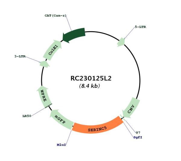 Circular map for RC230125L2