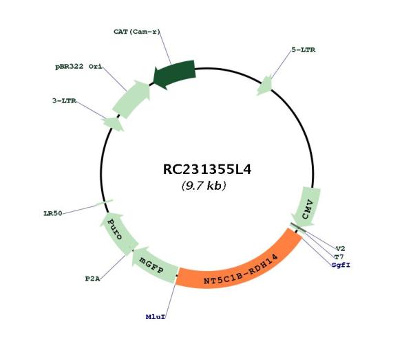 Circular map for RC231355L4