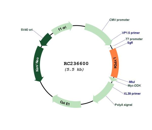 Circular map for RC236600