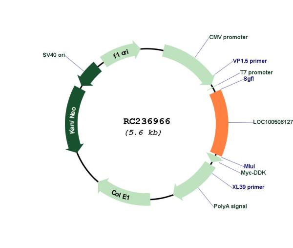 Circular map for RC236966