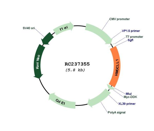 Circular map for RC237355