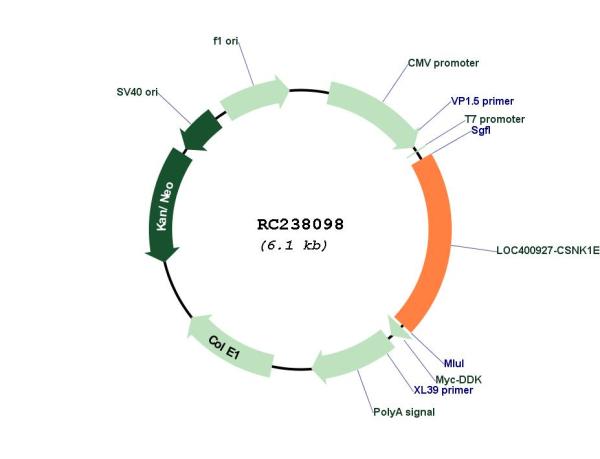 Circular map for RC238098