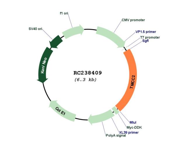 Circular map for RC238409