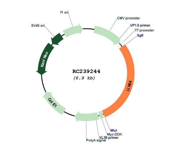 Circular map for RC239244