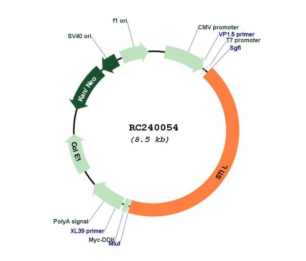 Circular map for RC240054