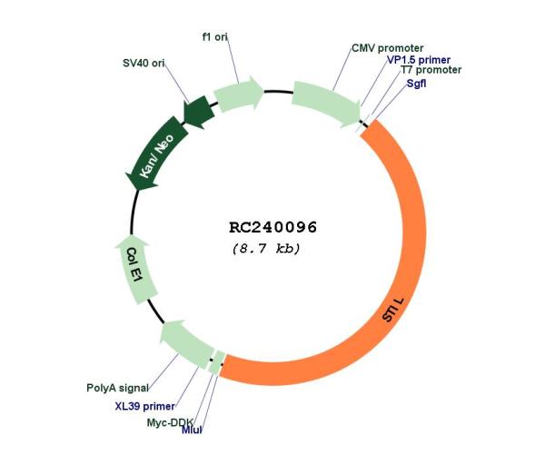 Circular map for RC240096