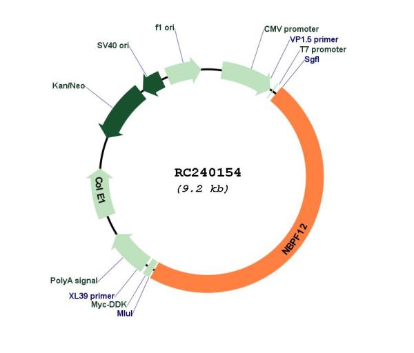 Circular map for RC240154