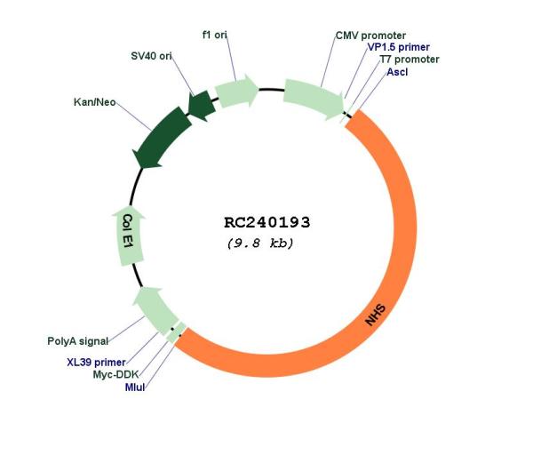 Circular map for RC240193