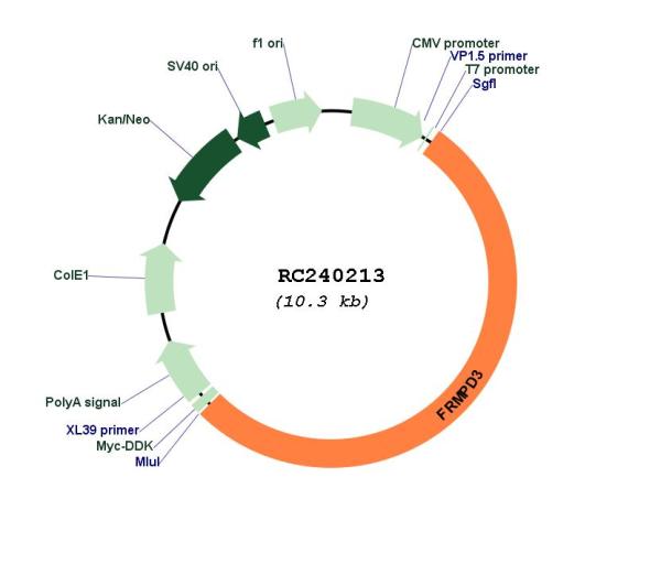 Circular map for RC240213