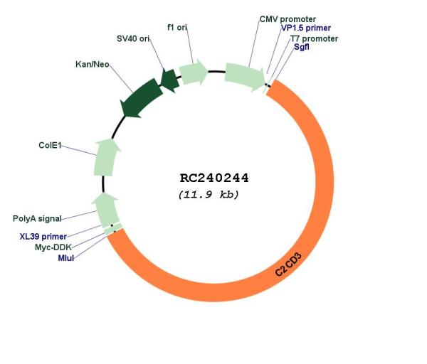 Circular map for RC240244