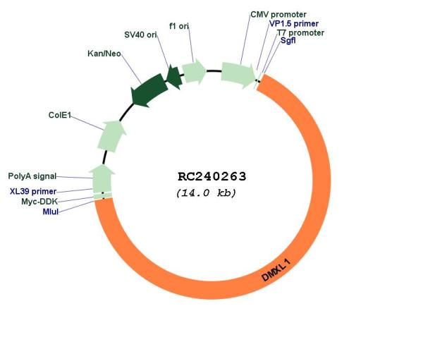 Circular map for RC240263