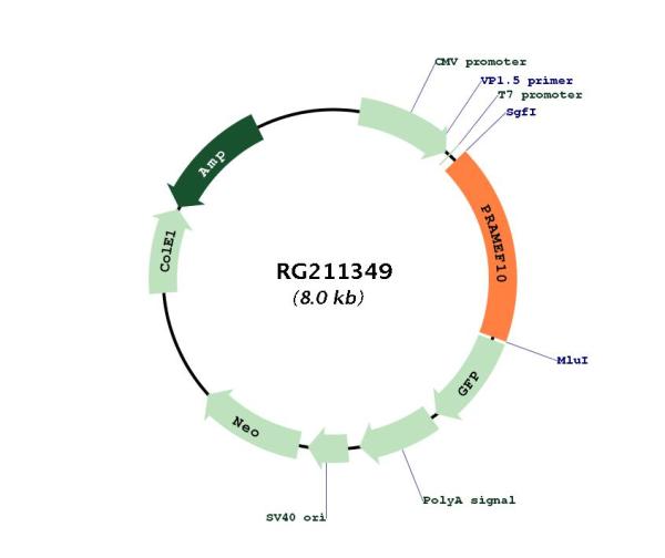 Circular map for RG211349