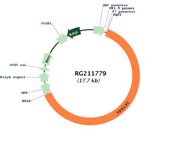 Circular map for RG211779