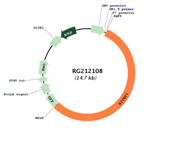 Circular map for RG212108