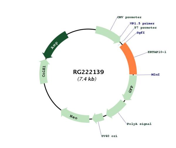 Circular map for RG222139
