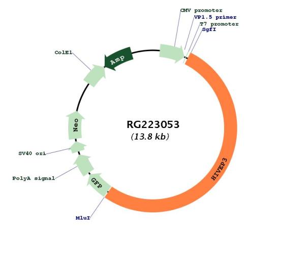 Circular map for RG223053