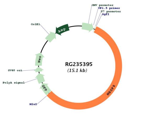 Circular map for RG235395