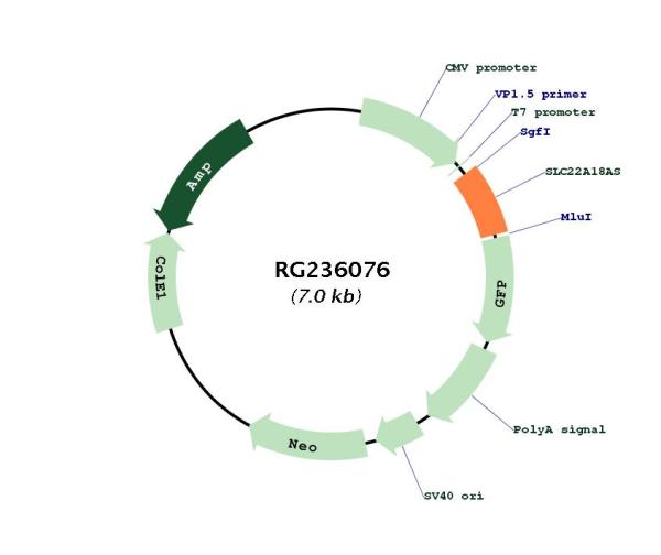 Circular map for RG236076