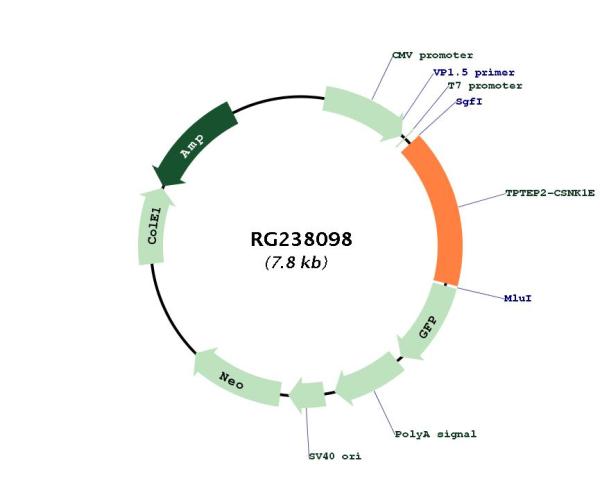 Circular map for RG238098