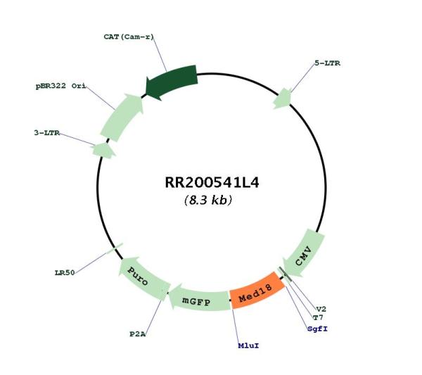 Circular map for RR200541L4