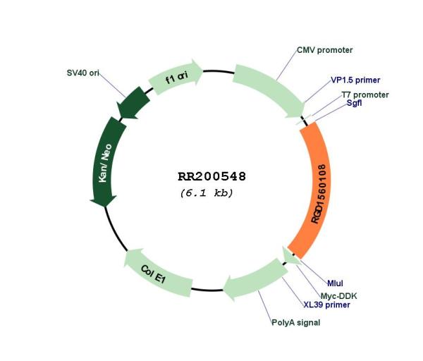 Circular map for RR200548