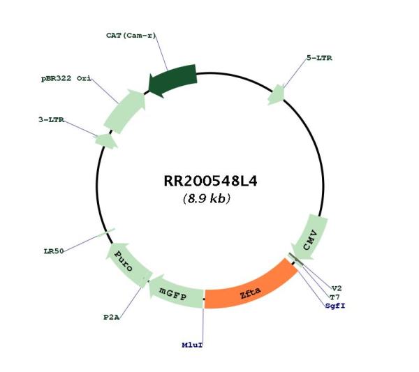 Circular map for RR200548L4