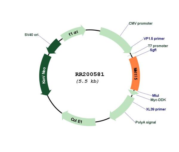 Circular map for RR200581
