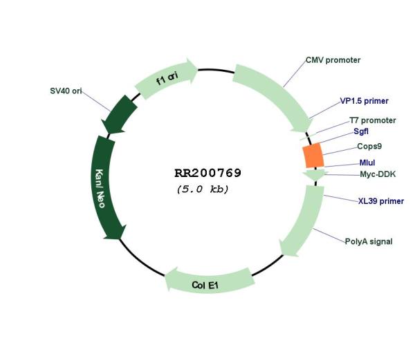 Circular map for RR200769