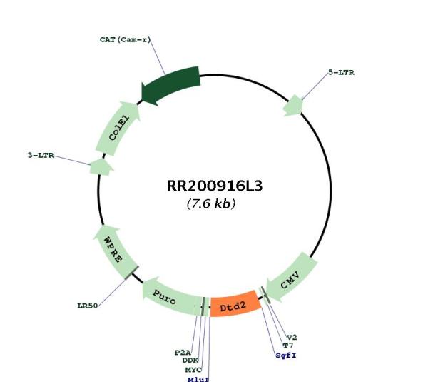 Circular map for RR200916L3
