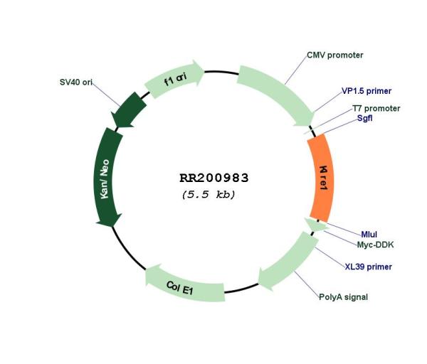 Circular map for RR200983