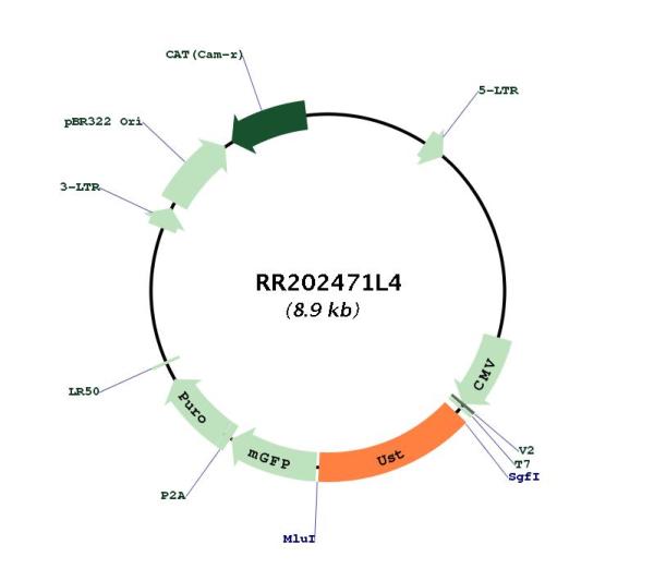 Circular map for RR202471L4