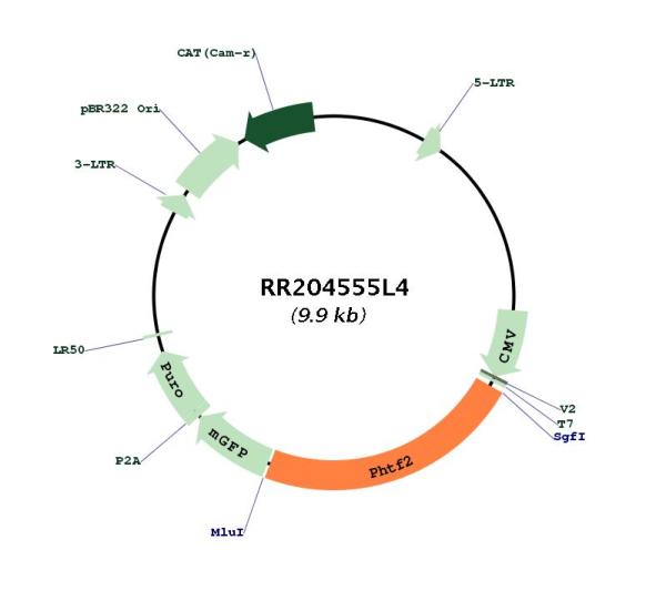 Circular map for RR204555L4